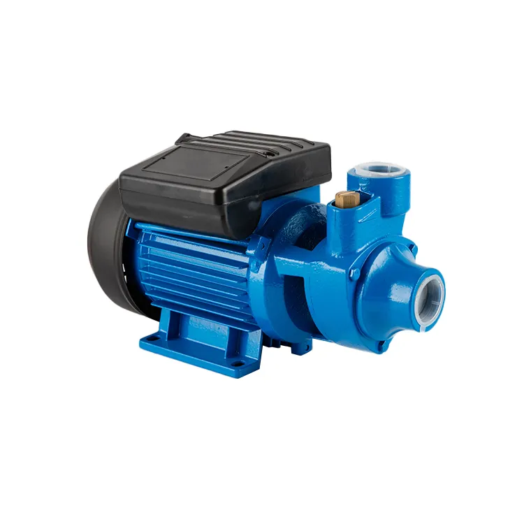 0.75kw 1HP Electric Motor Pump Pm80 Peripheral Pump Water Pump