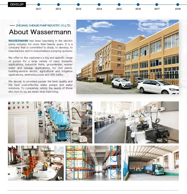 1.1/1.5/2.2 Kw Multistage Electric Submersible Clean Water Pumps