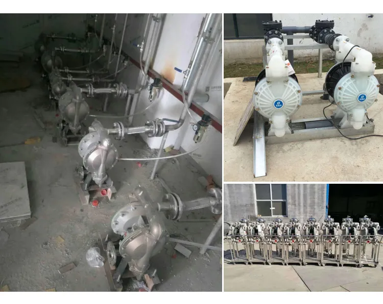 1′ ′ Aodd Double Pneumatic Diaphragm Pump for Petrochemical Industry