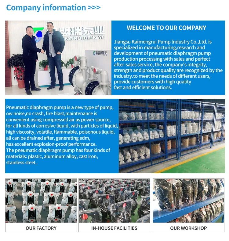 1′ ′ Aodd Double Pneumatic Diaphragm Pump for Petrochemical Industry
