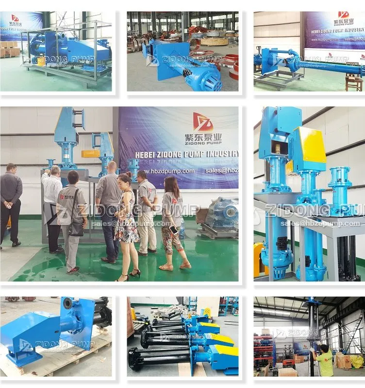 200sv Hard Metal Sump Slurry Pump for Mining Sand Sewage Sludge Transport