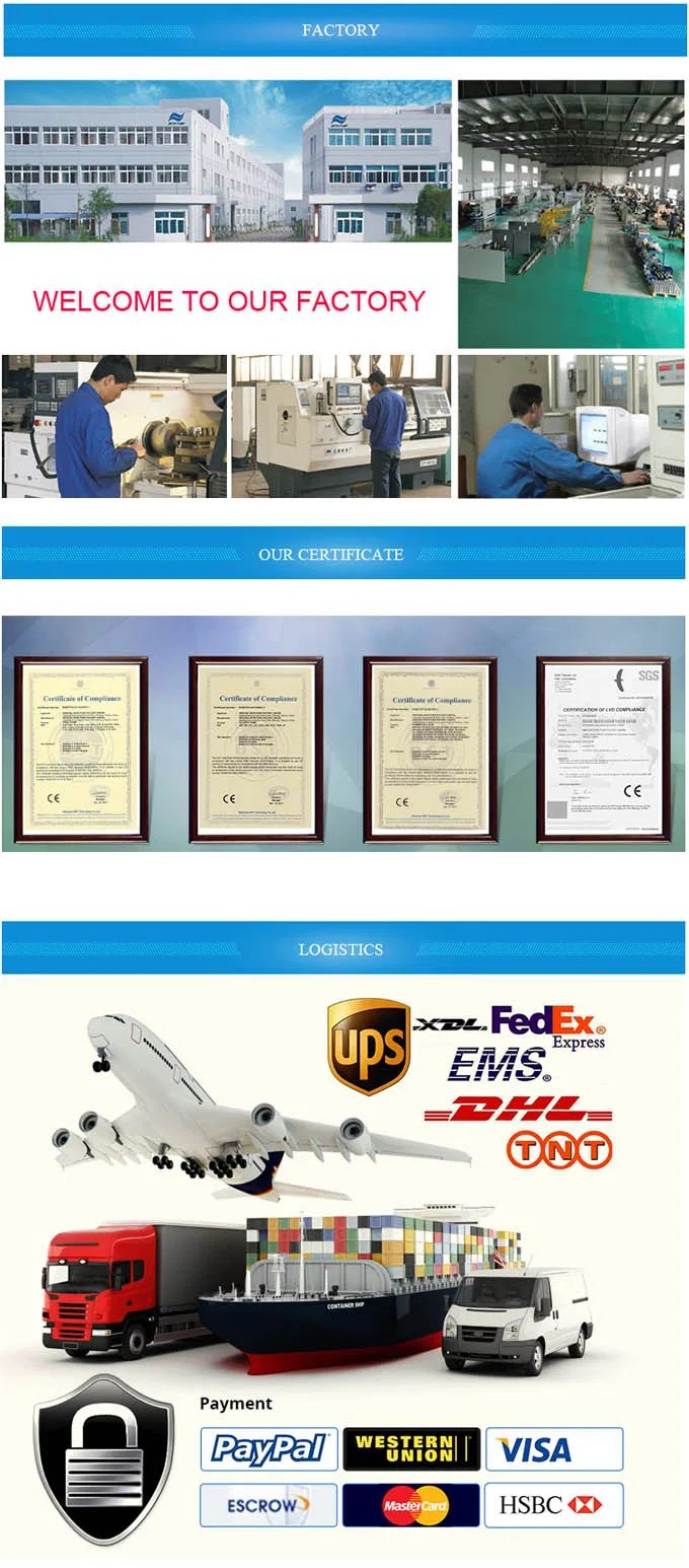 24VDC to 540VDC 0.2HP to 40HP Borehole Submersible Solar Energy Water Pump in Thailand, Philippines