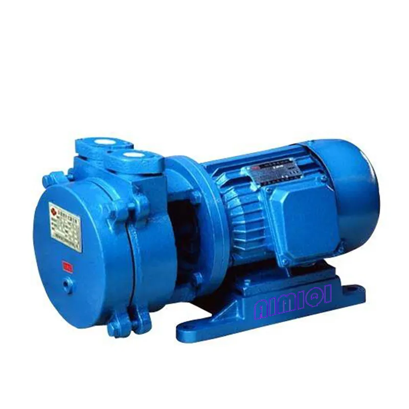 2BV Liquid Ring Vacuum Pump with Compressor Vacuum Filtration Pump