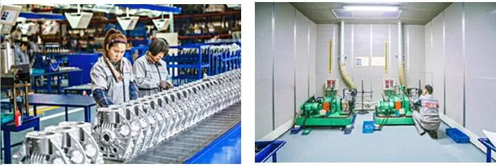 2inch Portable Recoil Start Water Pump with Diesel Engine