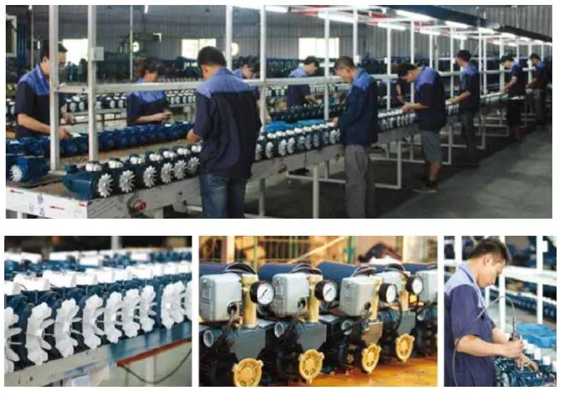 A/C Electric Motor Q (D) X40-9-1.5 1.5kw 2HP Qx Water Submersible Pump