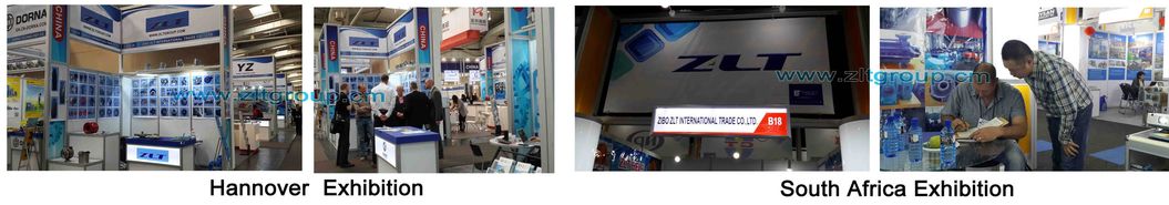 ANSI Stainless Steel/Alloy Steel/Carbon Steel/Titanium Zlt196 Pump Casing