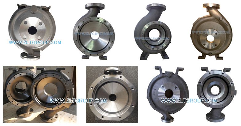 ANSI Stainless Steel/Alloy Steel/Carbon Steel/Titanium Zlt196 Pump Casing