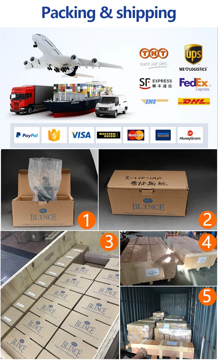 Blince Hydraulic Pump Spare Parts, PV2r Single Vane Pompa, PV2r Oil Bomba Heavy Duty Hydraulic Pumps