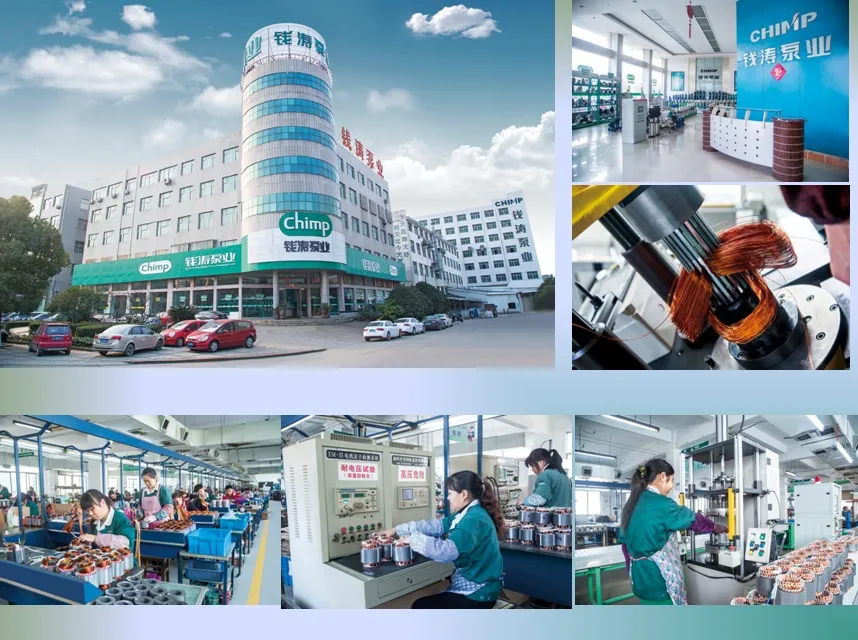 Chimp Brand Centrifugal Pump Mhf Series (MHF5A)