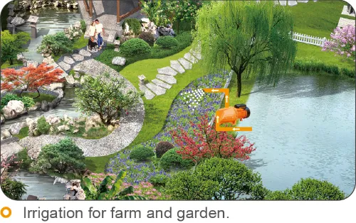 China Products/Suppliers. Self-Priming Jet Electric Surface Shallow Well Water Pump