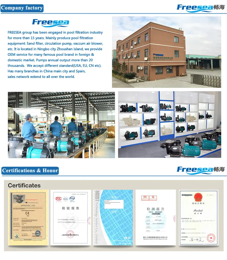 Cold Sauna High Head 220V 3.5HP Water Pump