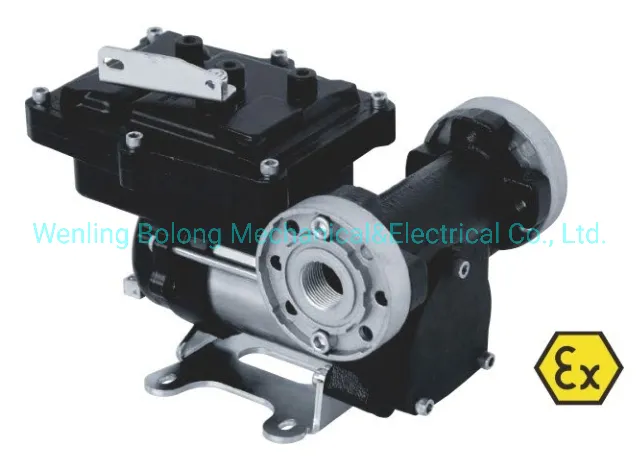 DC Atex Diesel Gasoline Petrol Fuel Transfer Pump