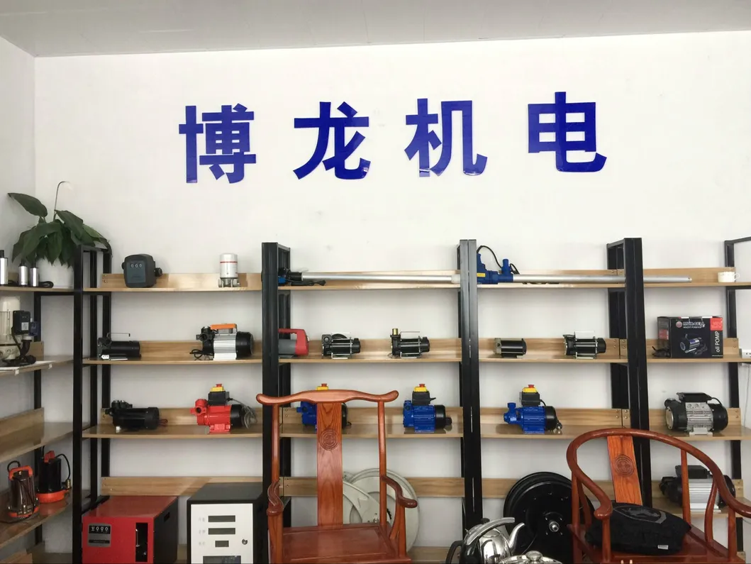 DC Atex Gasoline Petrol Fuel Transfer Pump