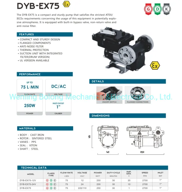 DC Gasoline Fuel Transfer Pump 12V 24V