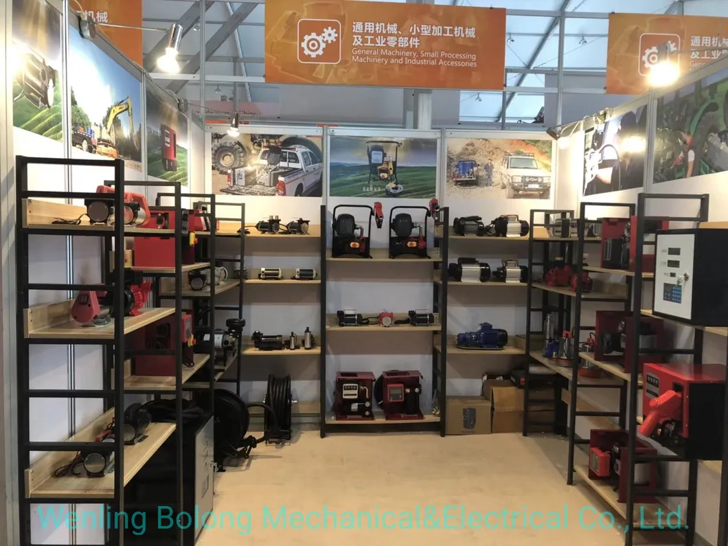 DC Gasoline Fuel Transfer Pump 12V 24V