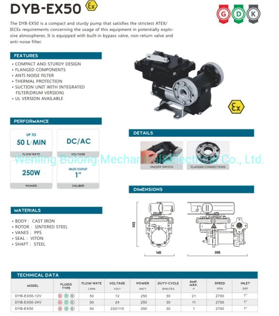 DC Gasoline Petrol Fuel Transfer Pump 12V 24V