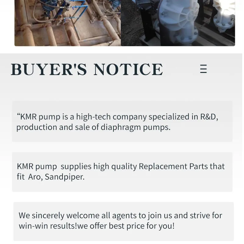 Diaphragm Pump with Good Working