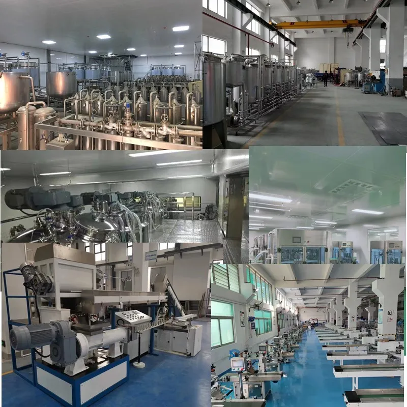 Emulsifier High Viscosity Small Flow Gear Metering Pump