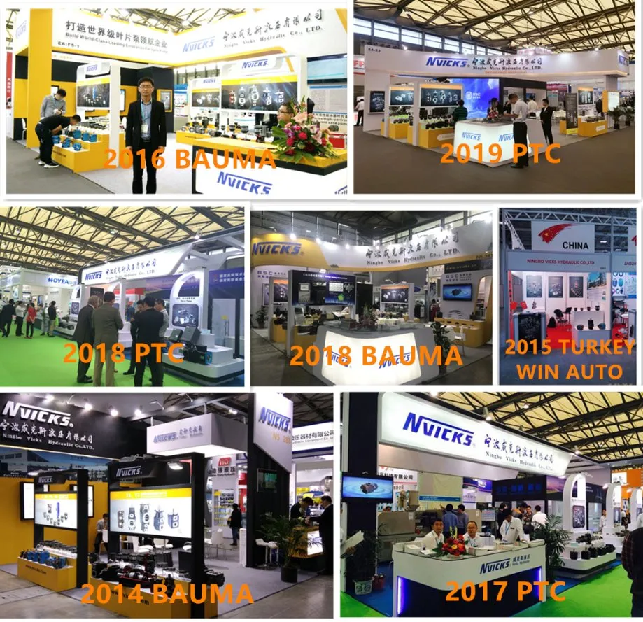 Excellent Quality Rexroth Series Hypro Piston Pump A10vso A4vso A4vg