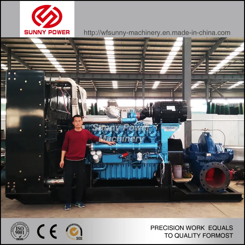 Factory Irrigation Energy Saving Cheap Diesel Water Pump for Mine Dewatering or Irrigation