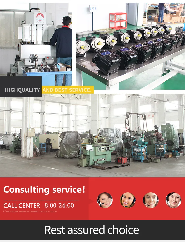 Factory Price Cbnl Cbnl-E3/E3 Series Cbnl-E310/E306 Cbnl-E310/E308 Cbnl-E310/E310 Hydraulic Gear Pump for Loaders