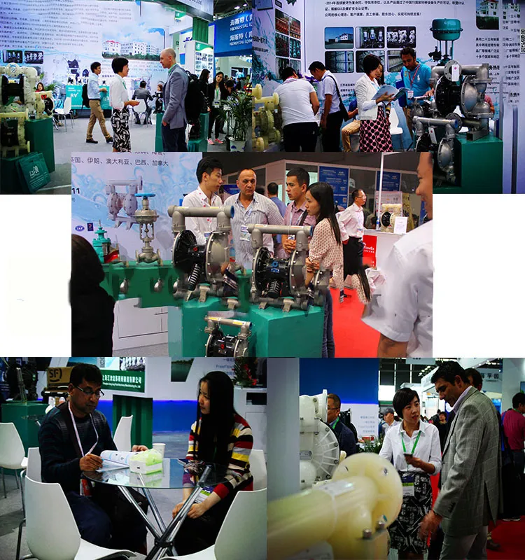 FDA Pneumatic/Air Operated Diaphragm Food Pump