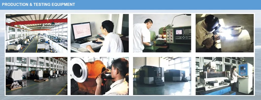 Gasoline Transfer Pump with CCS Certificate