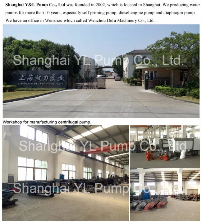 General Electric Motor Double Suction Centrifugal Farmland Irrigation Pump