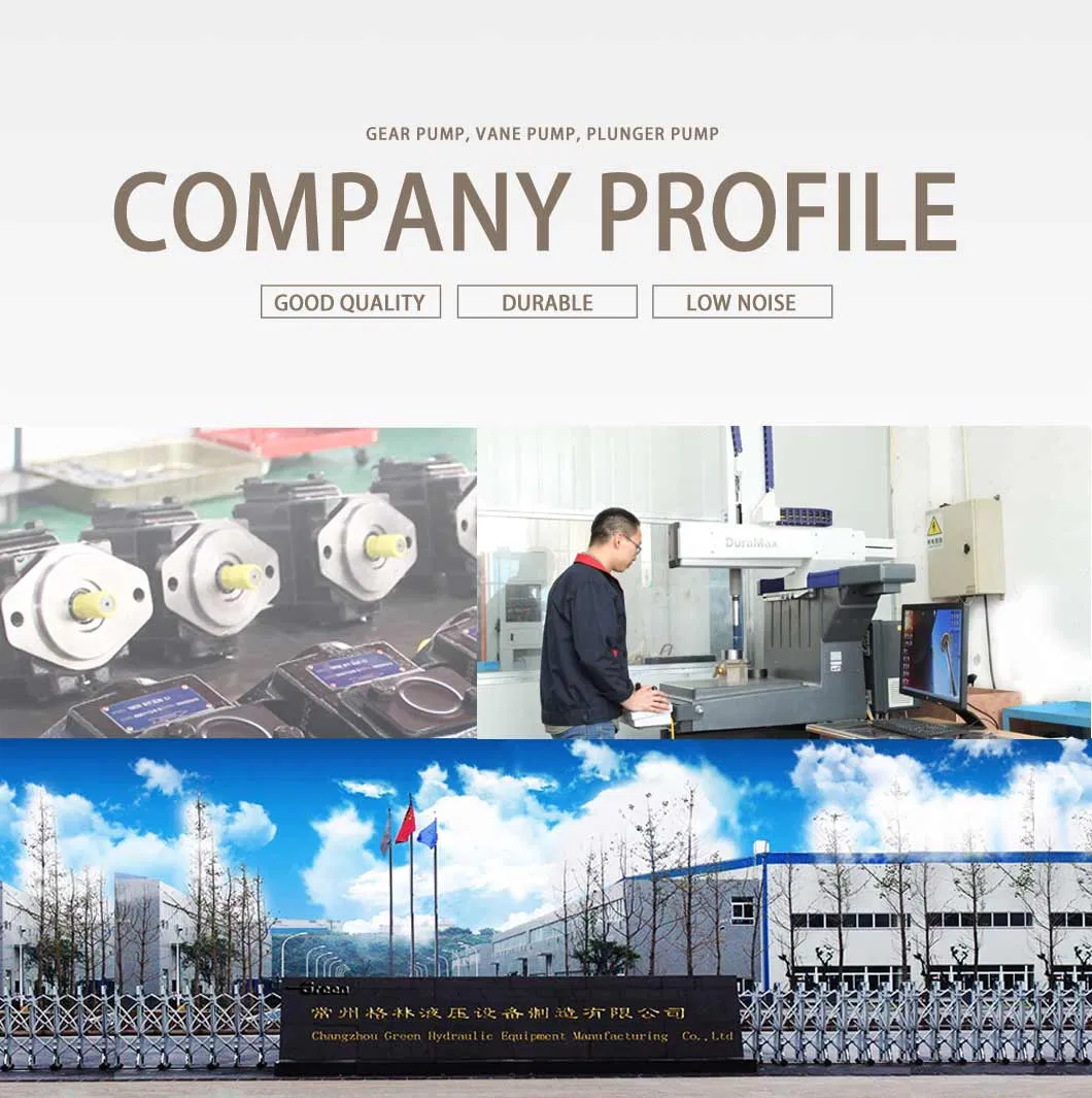 Good Price Hydraulic System Pump Sncb Eiph High Pressure Internal Gear Pump with Manual Control