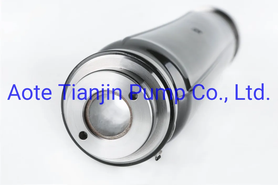 High Load Thrust Bearing Esp Protector