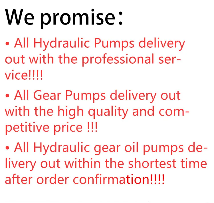 High Quality Gear Pump 234-60-65100 for Komatsu Gd655-3 Grader Parts with Competitive Price and One Year Warranty