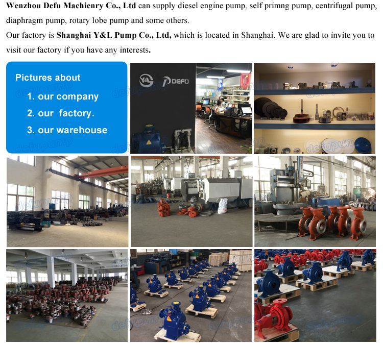 High Quality Vertical Pipeline Centrifugal Fire Fighting Jockey Pump Price