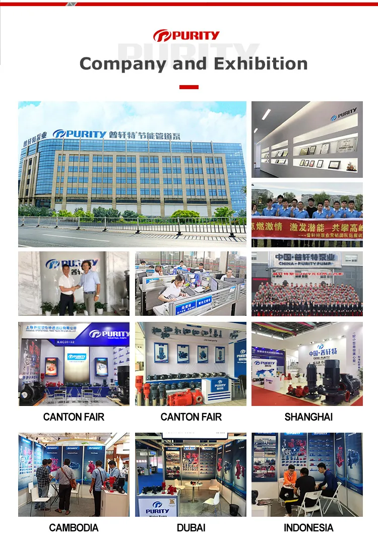 Horizontal Electric Centrifugal Vortex Pumps From Purity Manufacturers