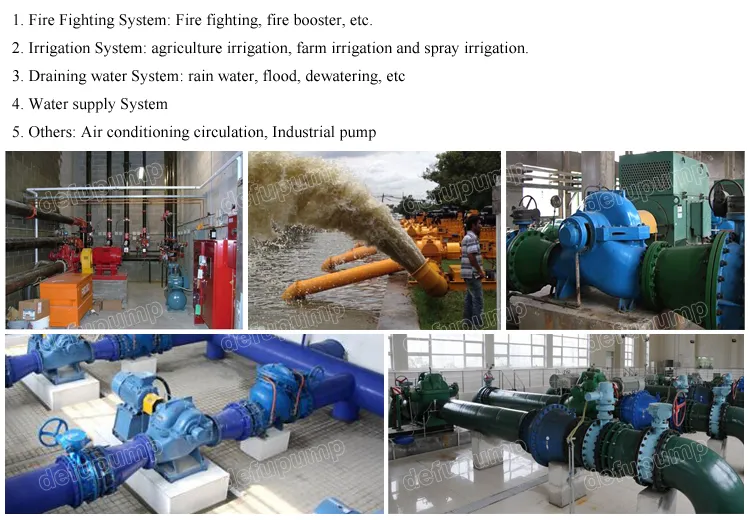 Horizontal Split Case Centrifugal Irrigation Water Pump with Electric Motor