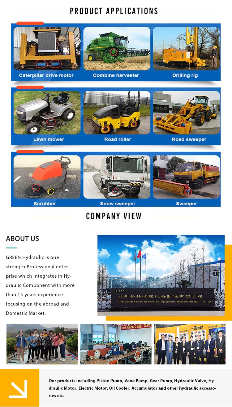 Hot Sale Hydraulic Wheel Motor Omh Bmh Bm4 Omp OMR Oms Omt Bm