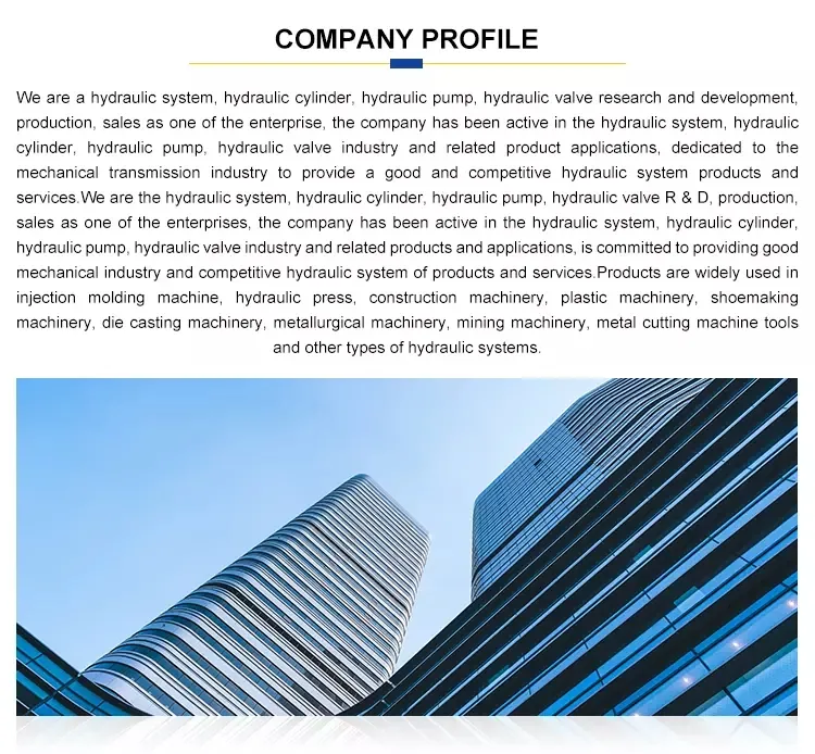 Hot Sale Series Rexroth High Pressure Hydraulic Axial Piston Motor A6V A6vem A6vm55 R902203501 A6vm55HD1/63W-Vpb01000b