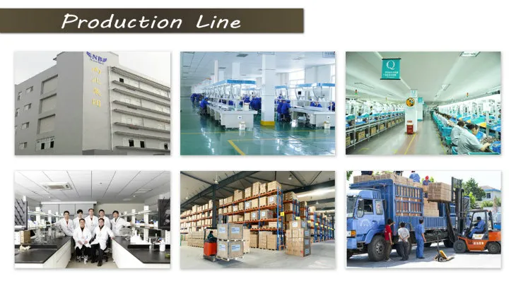 Industrial Transfer Hose Peristaltic Pump