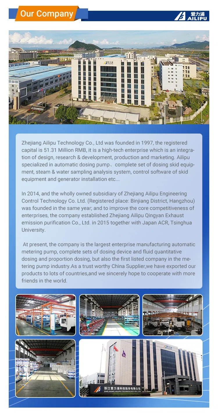 J25 New Sale Developing World Water Solutions Diaphragm Chemical Plunger Metering Pump