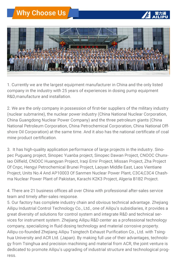 J25 New Sale Developing World Water Solutions Diaphragm Chemical Plunger Metering Pump