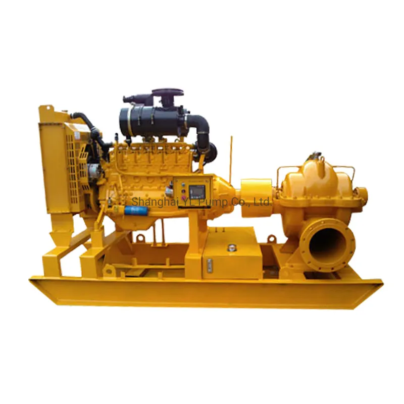 Large Volume Double Suction Water Pump with Diesel Engine Equipment