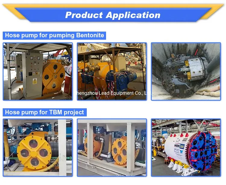 Lh125-915b Peristaltic Hose Pump for Pumping Slurries