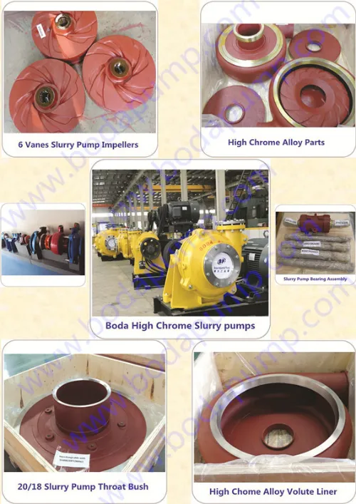 Mineral Processing Slurry Pump