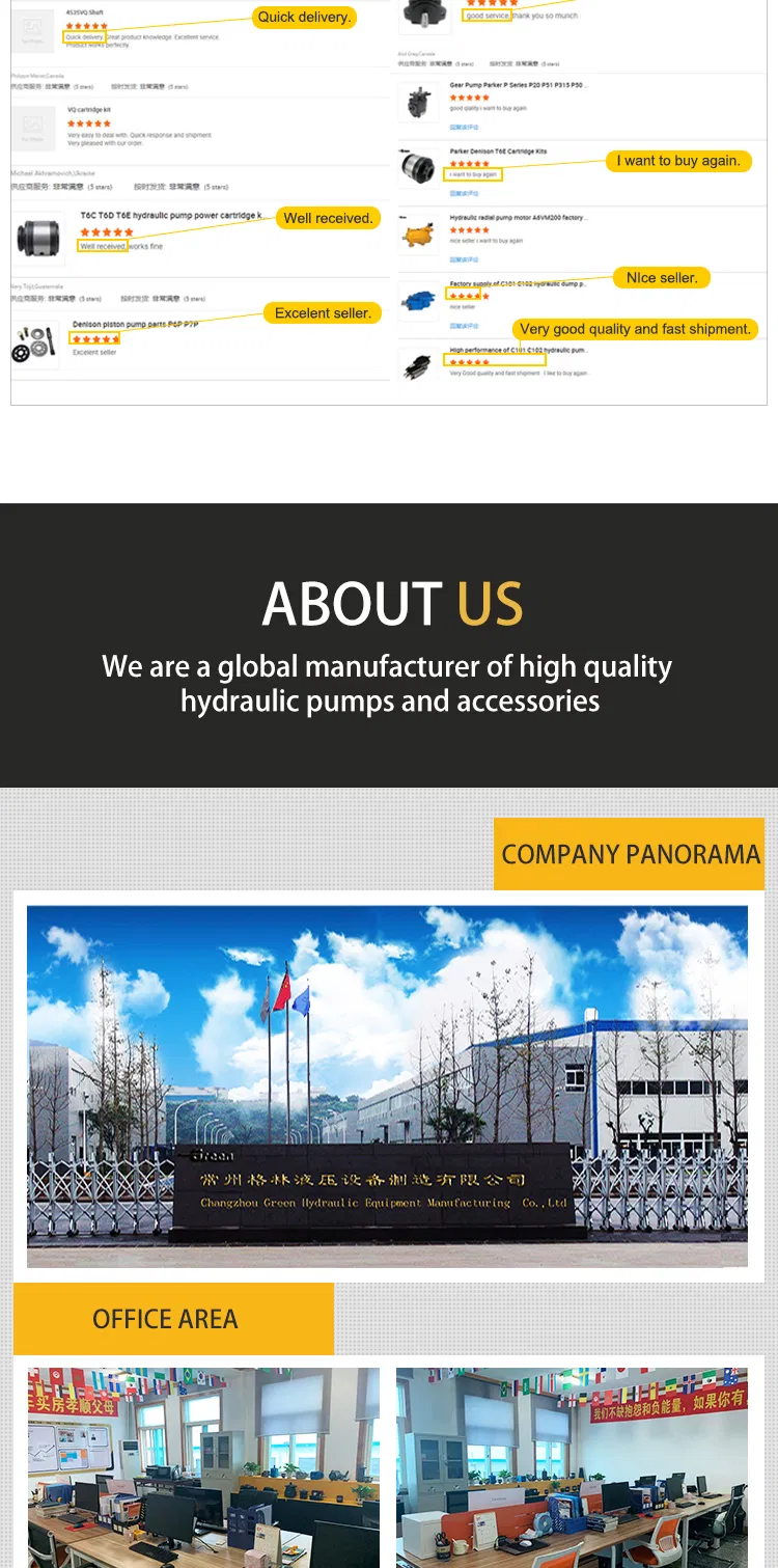 Oms200 Oms250 Oms315 Oms400 Mini Piston Hydraulic Motor for Drilling Rig