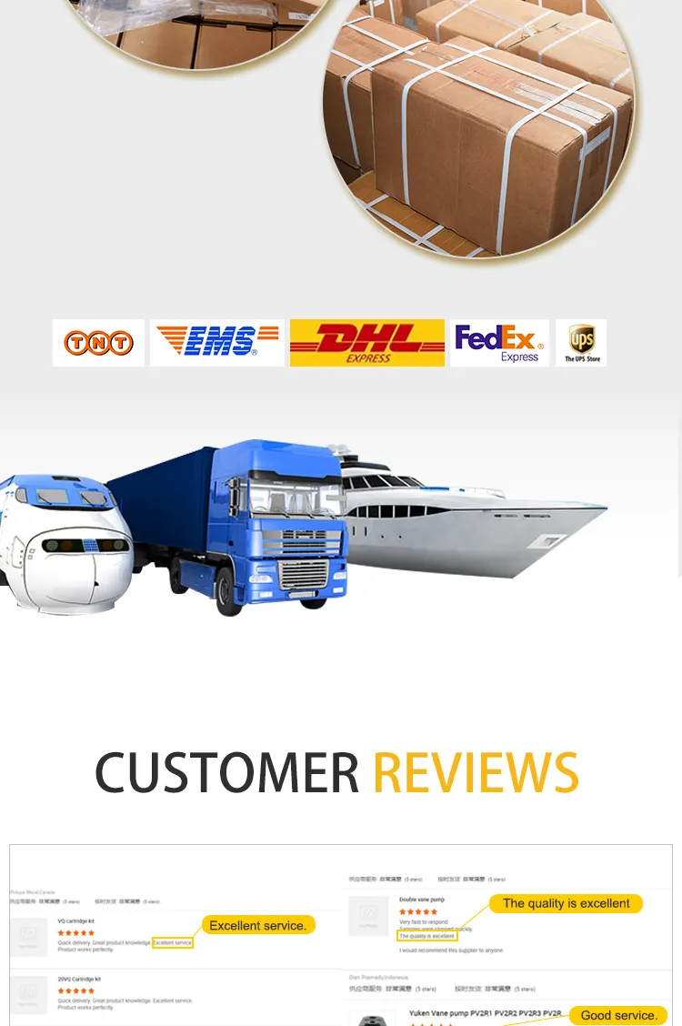 Oms200 Oms250 Oms315 Oms400 Mini Piston Hydraulic Motor for Drilling Rig