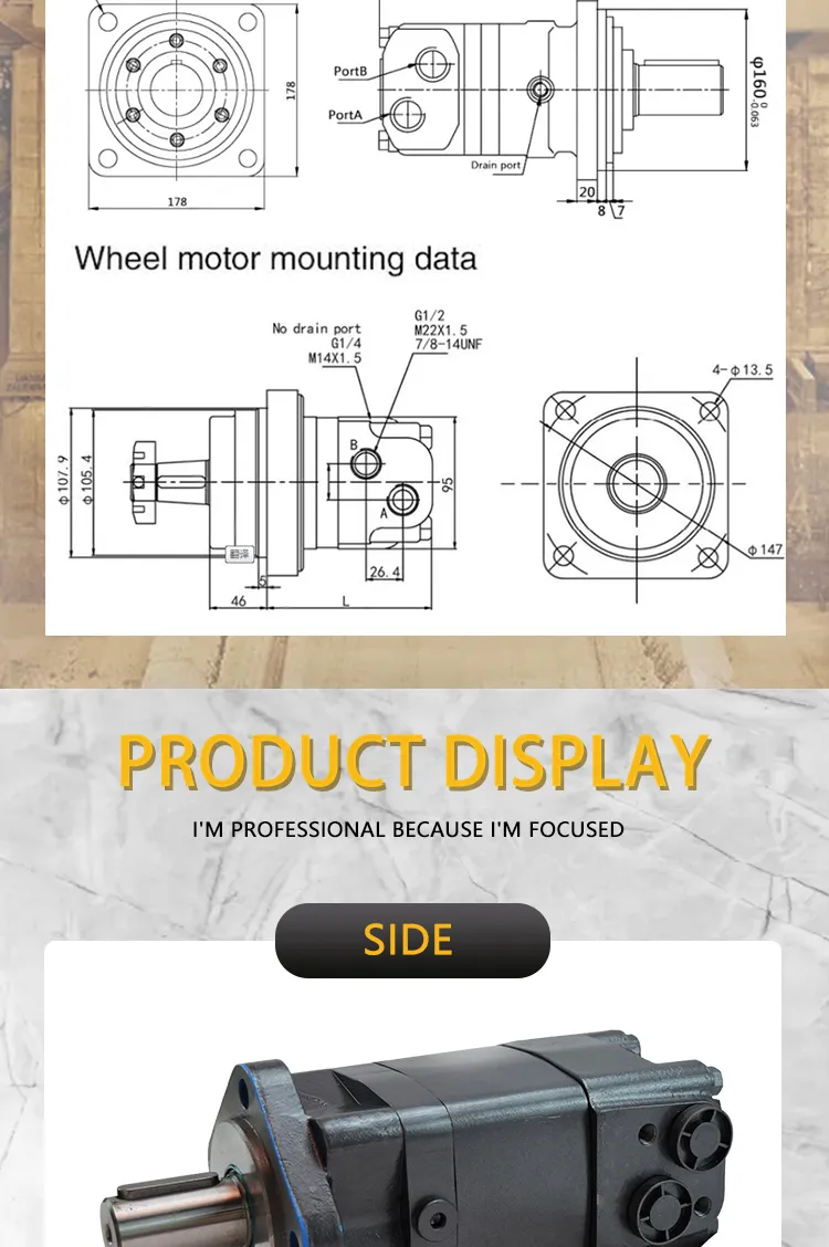 Oms200 Oms250 Oms315 Oms400 Mini Piston Hydraulic Motor for Drilling Rig