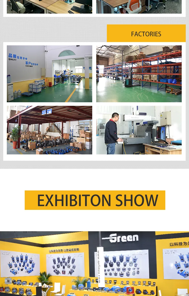 Oms200 Oms250 Oms315 Oms400 Mini Piston Hydraulic Motor for Drilling Rig