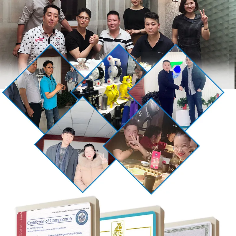 Pneumatic Air Operated Sump Pump