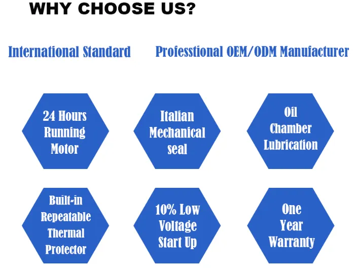 Pool Sucking Water Pompe