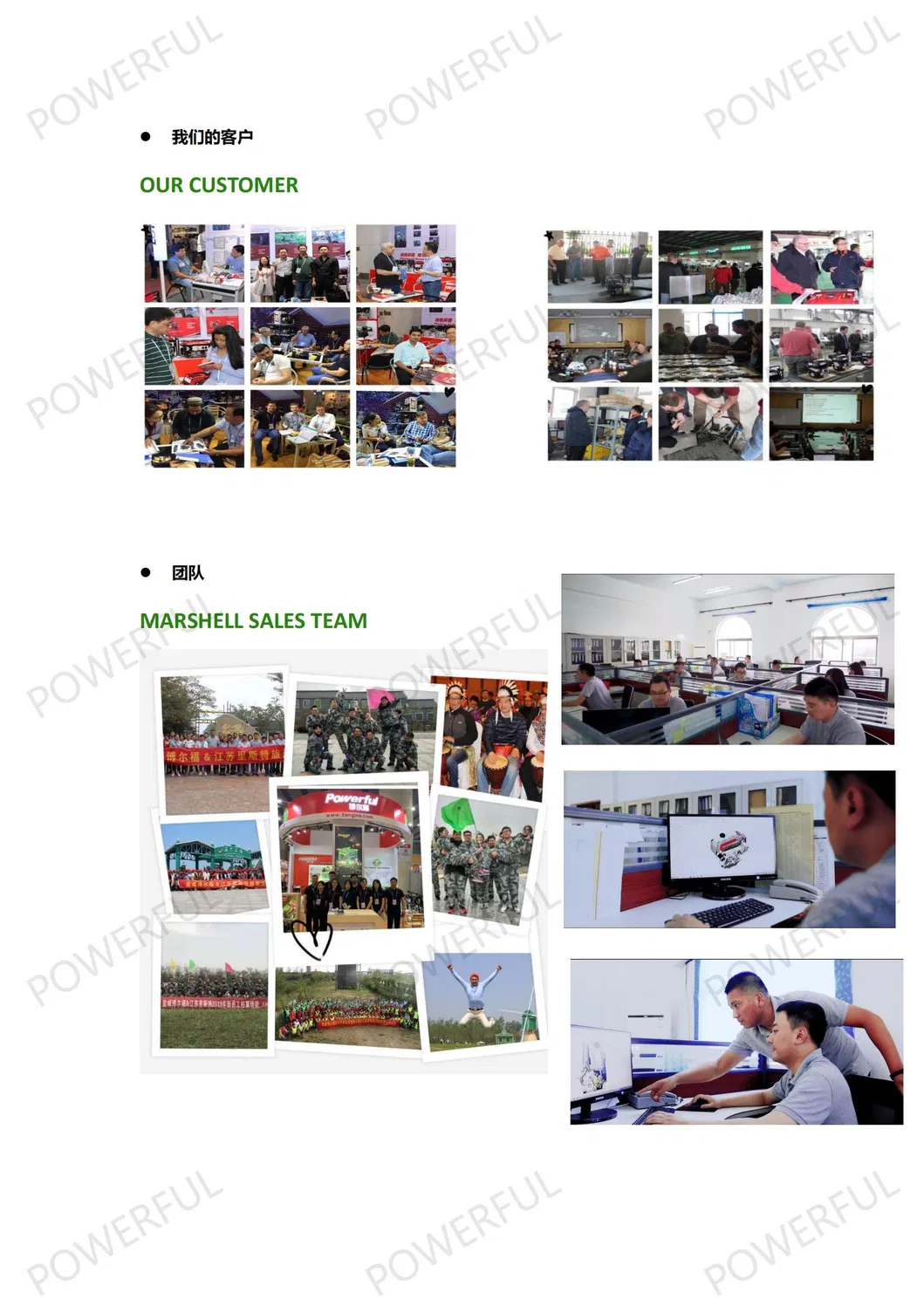 Powerful Wp20t 4.4kw 2.0 Inch Recoil Start Gasoline Engine Water Pump