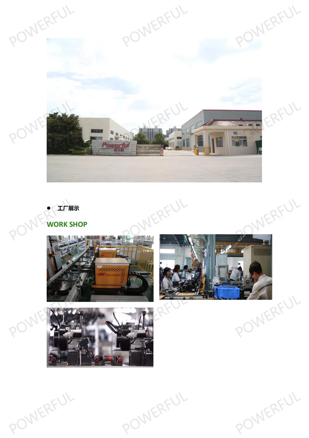 Powerful Wp20t 4.4kw 2.0 Inch Recoil Start Gasoline Engine Water Pump